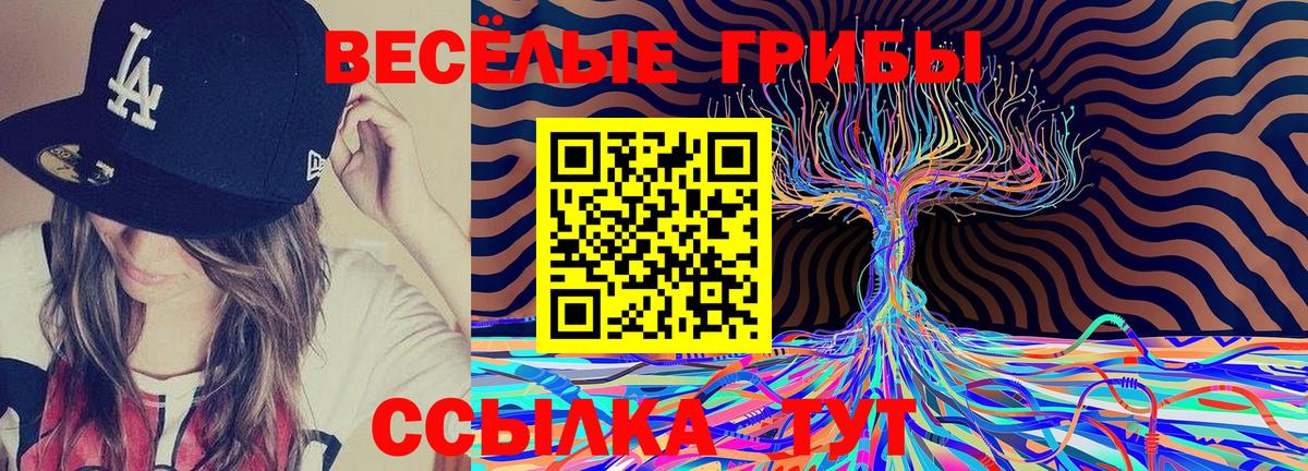 Корсаков  Псилоцибиновые грибы ЛСД  Вход с VPN 